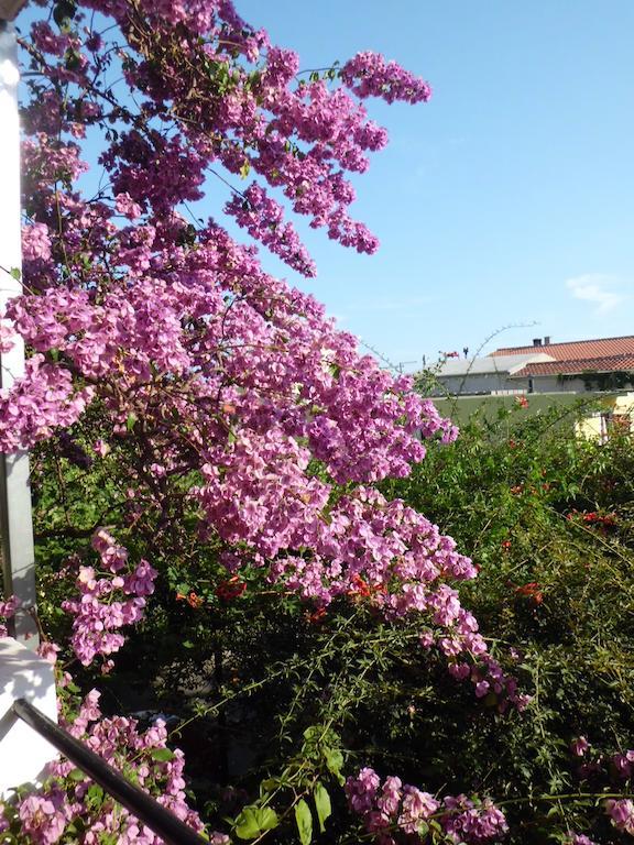 Apartments Viskovic Makarska Buitenkant foto